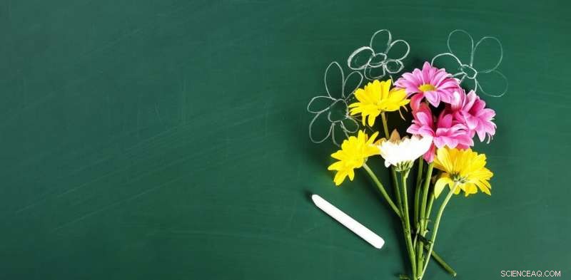 How Teachers Can Safeguard Their Well‑Being During Summer Break