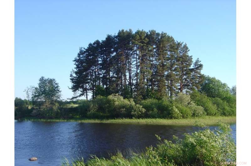 5,000-Year-Old Hunter Found to Carry Earliest Known Plague Bacteria