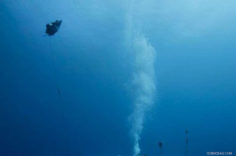 Titanic’s Deterioration Under Study: Expedition to Monitor Annual Degradation