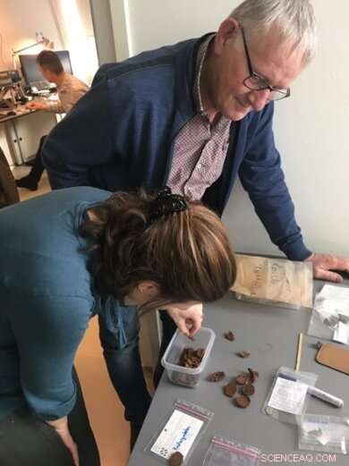 Roman Coin Hoard Revealed as Offering for Safe Passage
