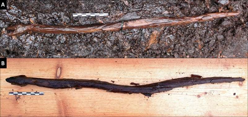 Well-Preserved Ancient Carved Snake Discovered at Finland s Järvensuo 1 Site
