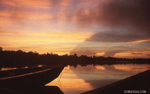 Maya Population Dynamics Linked to Climate Change Revealed by Fecal Analysis