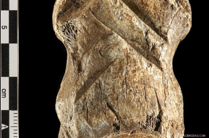 Neanderthals Revealed: 51,000-Year-Old Bone Carving Challenges Conventional Views