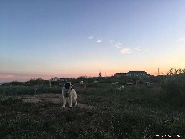 Reopening the North: Risks to Indigenous Communities from Increased Travel & Research