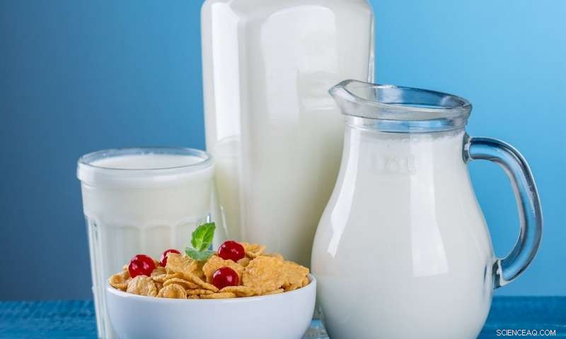 Do Consumers Truly Understand Their Dairy Purchases?