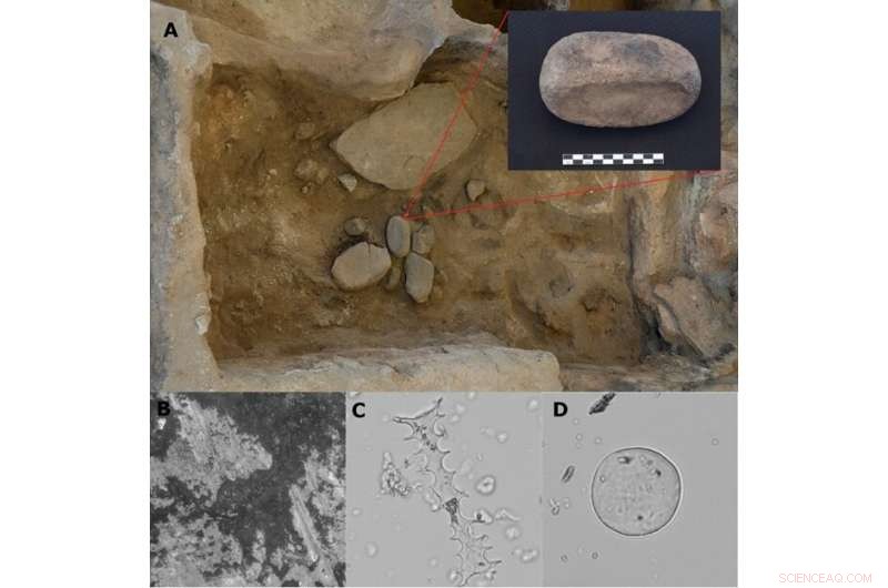 Revealing New Aspects of Plant Processing in a Neolithic Turkish Settlement
