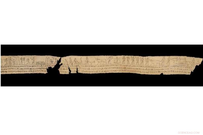 Ancient 300 BCE Mummy Shroud Fragment in New Zealand Finds Exact Match in U.S.