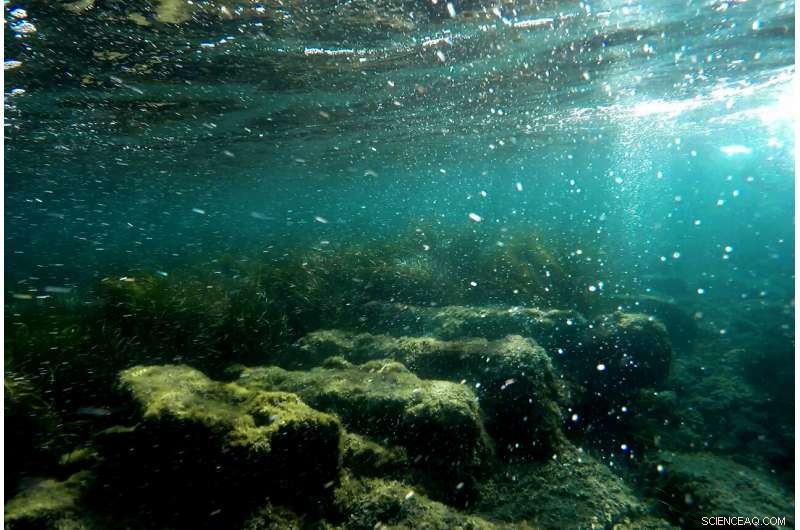 Cyprus Unveils 2,400-Year-Old Submerged Harbor to Boost Tourism