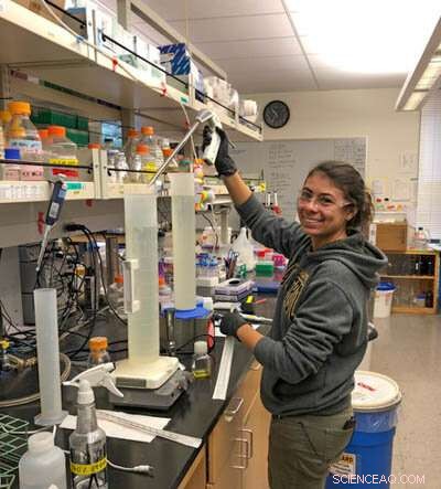 Graduate Student Diversity Boosts Success for Chemistry Undergraduates