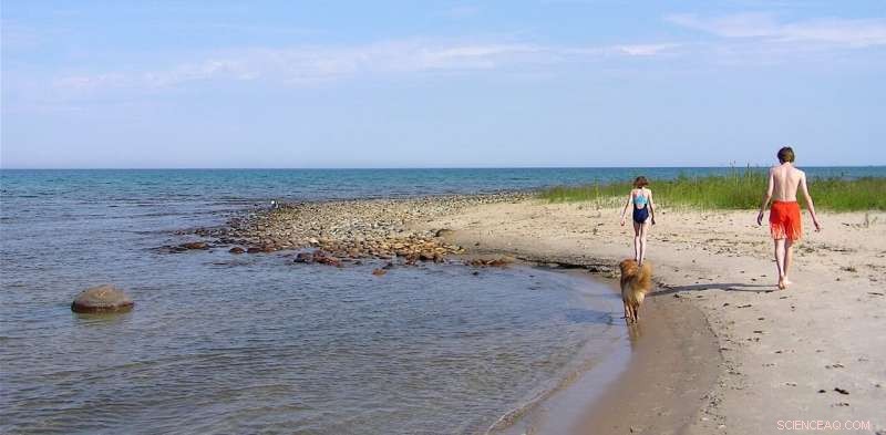 How State Laws and Tide Lines Determine Beach Ownership