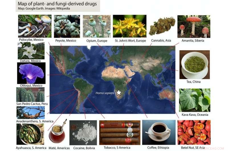 The Origins of Human Experimentation with Alcohol and Drugs