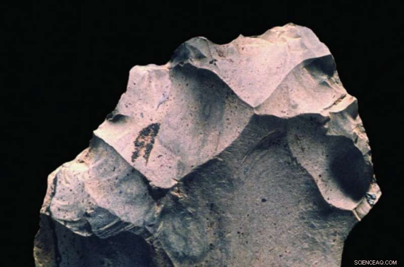 Ancient Knowledge Spread: Evidence Shows Cultural Diffusion Began 400,000 Years Ago