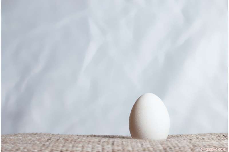 Half of Victorian Women Approve Egg‑Freezing as a Valuable Employer Benefit