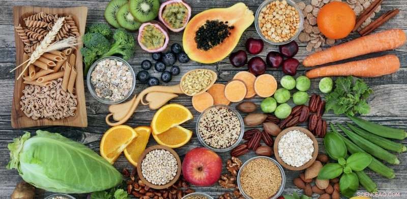 How Oil, Trade Agreements, and Climate Change Shape Food Prices