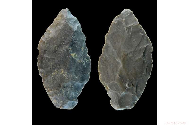 Ancient Stone Tool Illuminates Neanderthal Hunting Techniques