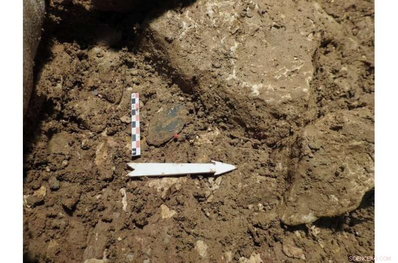 Ancient Stone Tool Illuminates Neanderthal Hunting Techniques