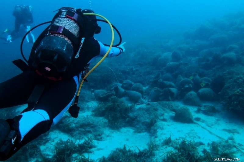 Greece Unveils First Underwater Museum, Bringing Ancient Shipwrecks to Life