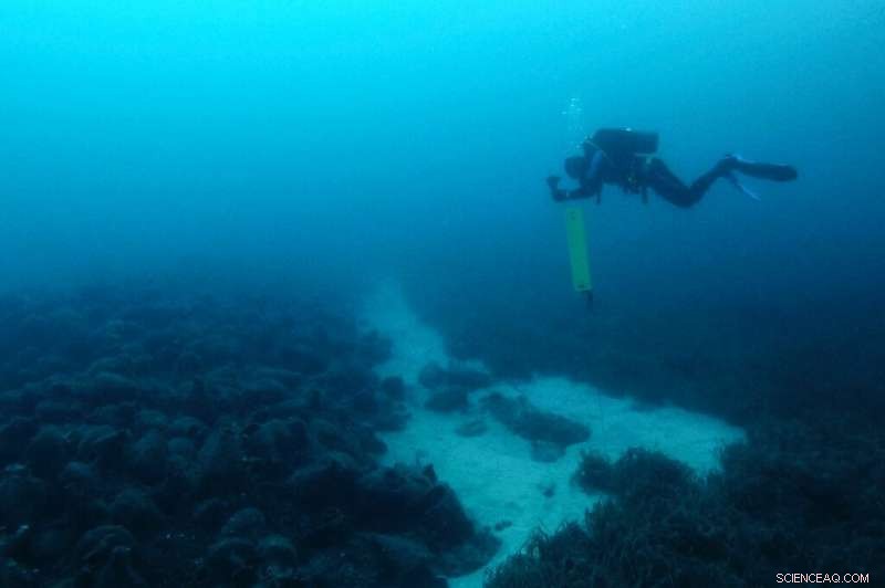 Greece Unveils First Underwater Museum, Bringing Ancient Shipwrecks to Life