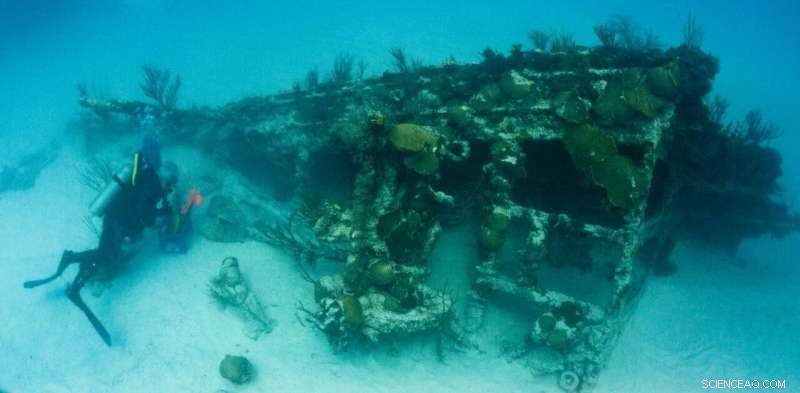 AI Detects Shipwrecks from Aerial and Surface Scans