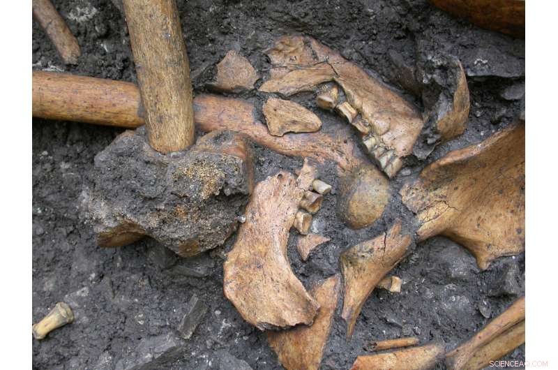 Oral Microbiome Shift During Foraging‑to‑Farming Transition Is Less Drastic Than Modern Changes