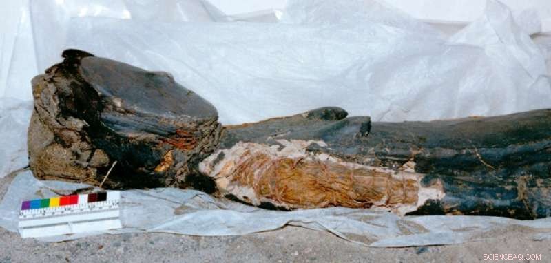 Chile’s Ancient Chinchorro Mummies Earn UNESCO World Heritage Status
