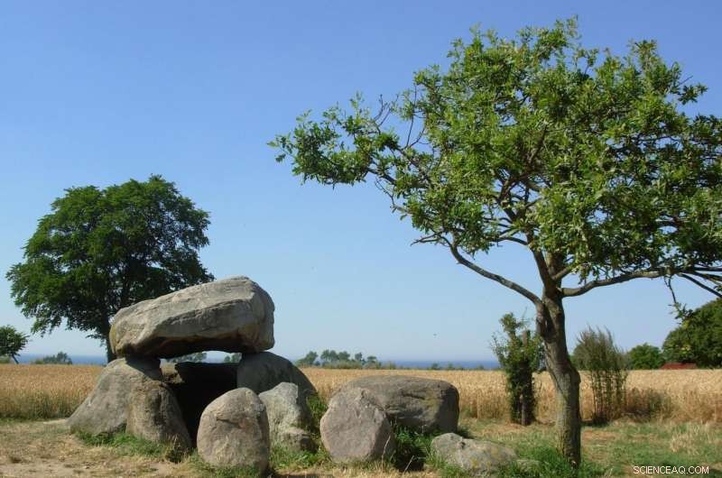 Unearthing a Bronze Age Elite: The Legacy of a High-Status Woman and Her Twins