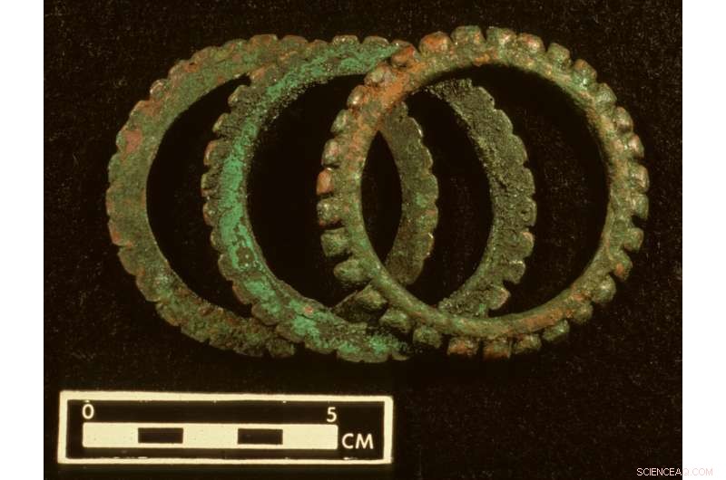 Southeast Asian Metal Finds Challenge Established Archaeological Theories