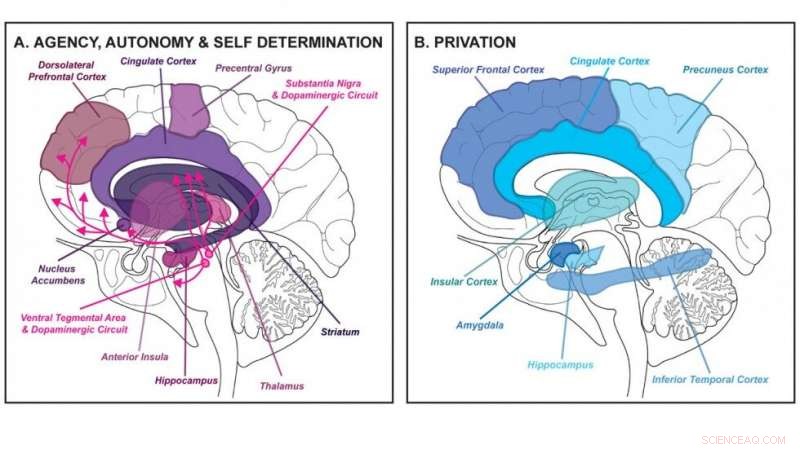 Harnessing Neuroscience to Strengthen Human Rights