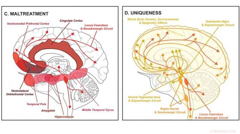 Harnessing Neuroscience to Strengthen Human Rights