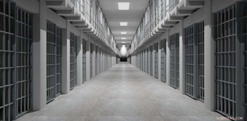 Debunking the Myth: Are We Truly Too Lenient on Serious Young Offenders?