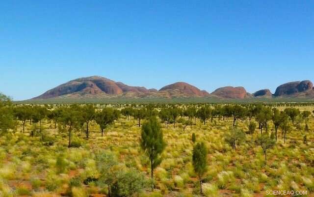 Preserving Indigenous Languages: Vital for Culture, Identity, and Community