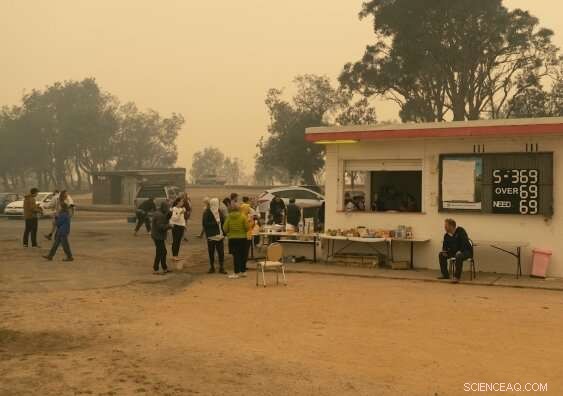 Building Climate Resilience in Small Towns: Tailored Strategies for Sustainable Communities