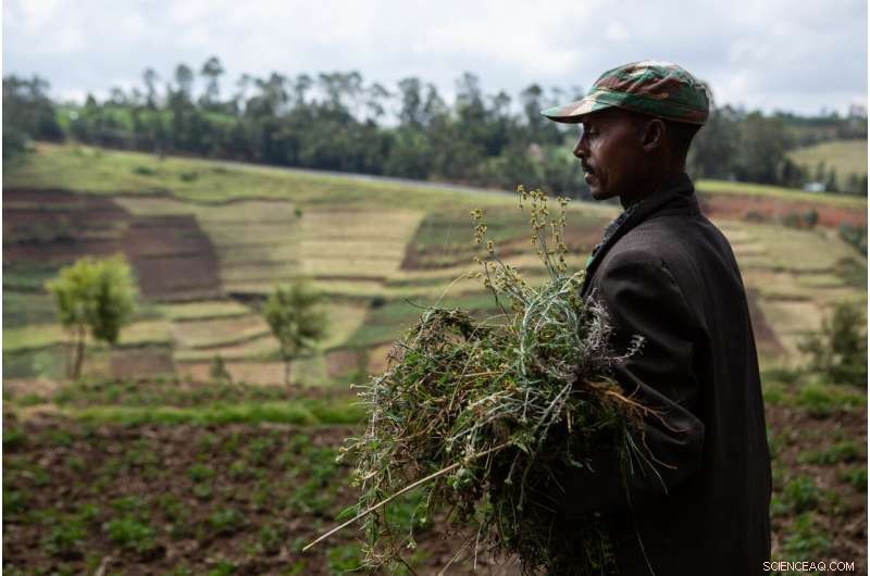 Study Finds Warfare, Not Climate, Is the Primary Driver of Renewed Hunger in Africa