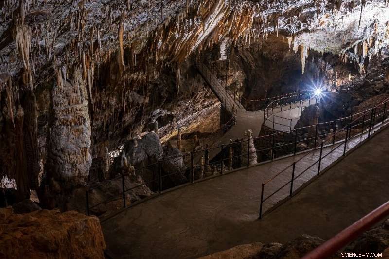 Exploring Slovenia’s Hidden Caves: Unveiling the Karst Region’s Underground Wonders