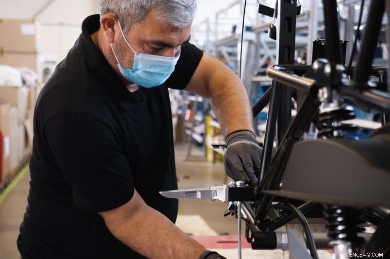 EU Unemployment Stays Stable Amid Pandemic, Study Finds