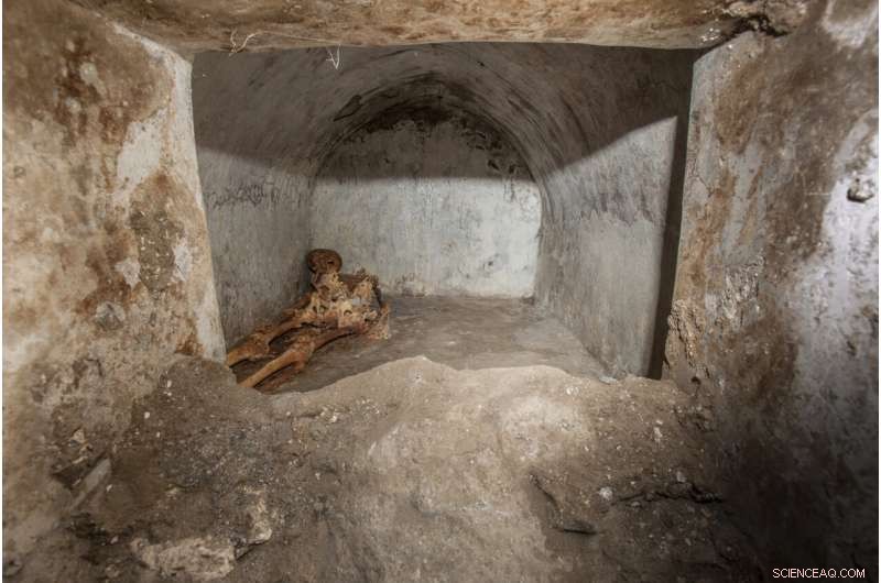 Pompeii Excavation Reveals Well‑Preserved Skeleton and Greek Cultural Evidence