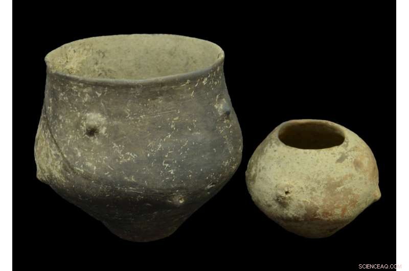 Tracing Genetic and Social Transformations in Neolithic and Bronze Age Croatia