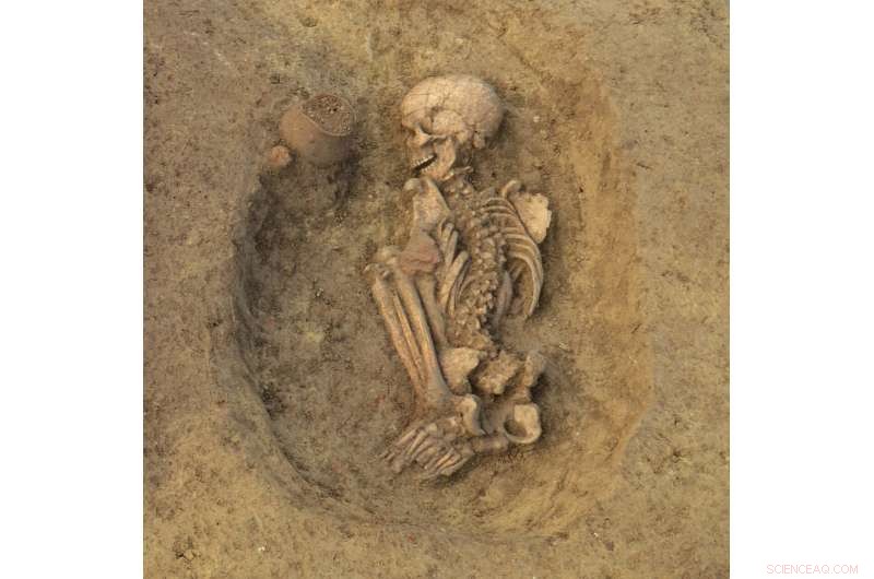 Tracing Genetic and Social Transformations in Neolithic and Bronze Age Croatia