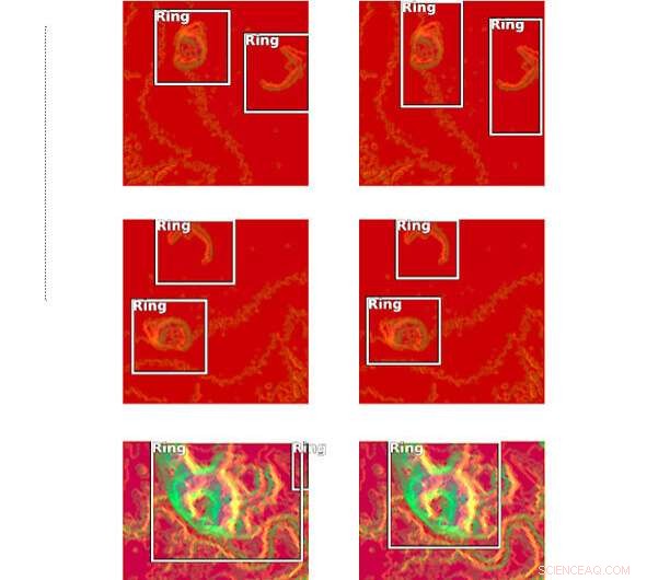 Unveiling 3,000–5,000‑Year‑Old Shell Rings on Daws Island with Remote Sensing & AI