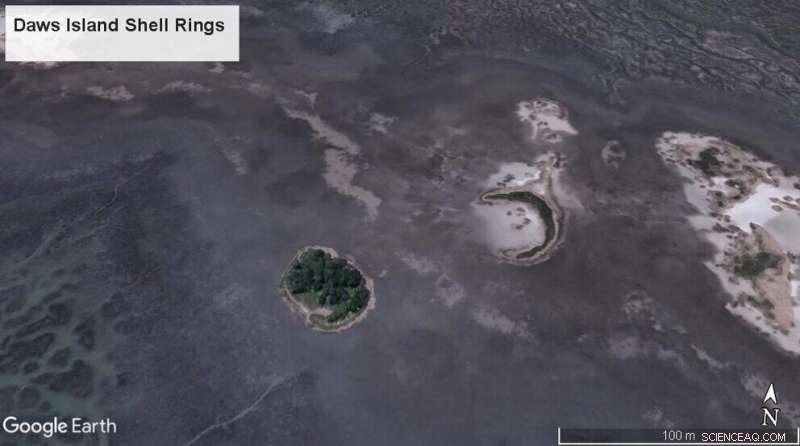 Unveiling 3,000–5,000‑Year‑Old Shell Rings on Daws Island with Remote Sensing & AI