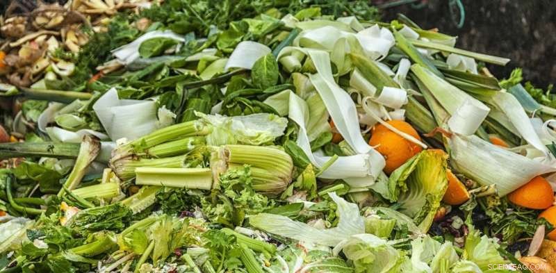 Cutting Food Waste: Tackling the 33% of Crops We Throw Away