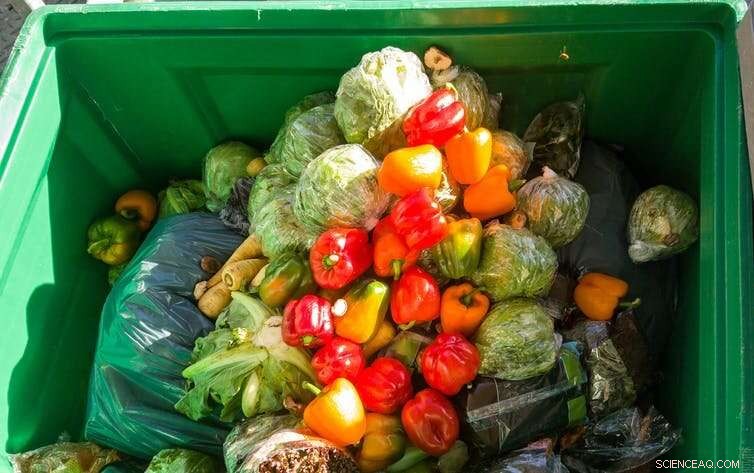 Cutting Food Waste: Tackling the 33% of Crops We Throw Away