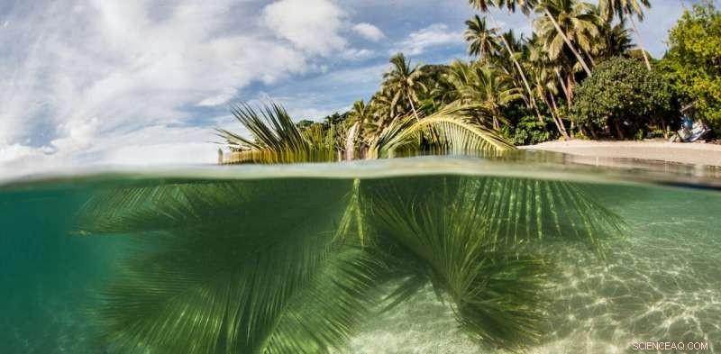 Ancient Myths of Underwater Worlds Offer Insight Amid Rising Sea Levels