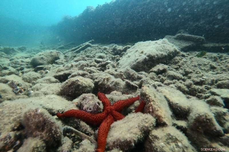 Explore the Sunken Ruins of Baiae: Italy’s Ancient Roman Party Town