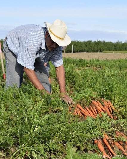 New Research Highlights Forced Labor Risks in U.S. Fruit and Vegetable Supply Chains