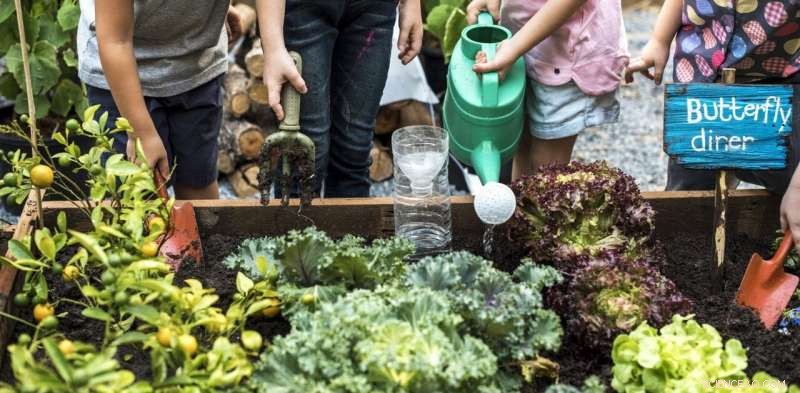 Quiet Activism: Everyday Actions Tackling the Climate Emergency