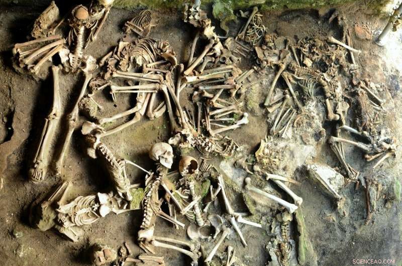 New Study Reveals Distinct Diets of Roman Herculaneum Men and Women