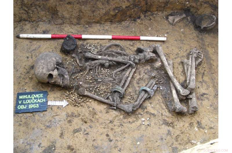 Central European Prehistory: A Dynamic Tapestry of Migration and Cultural Change