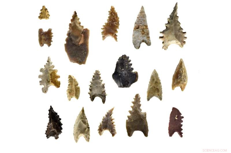 First Ancient Genome from Wallacea Unveils Hidden Human Connections