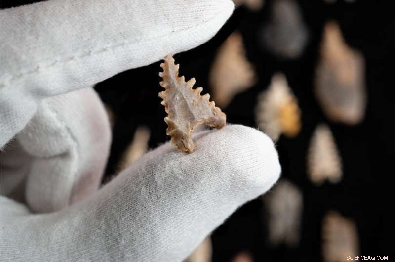 Ancient DNA from a Woman Reveals Origins of the Lost Toalean Culture